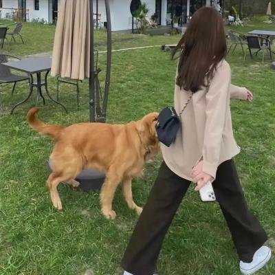 十项舞蹈